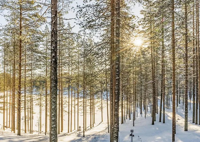 Vakantiehuis Koukunmaja By Interhome